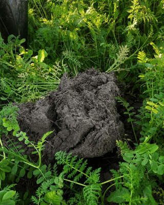 Agristar Biobodem Laat
