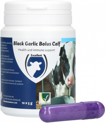 Black Garlic Bolus | Calf
