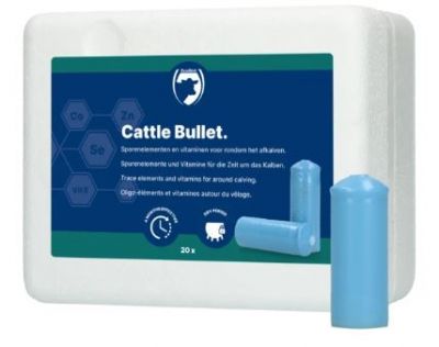 Cattle Bullet | Droogstand bolus 