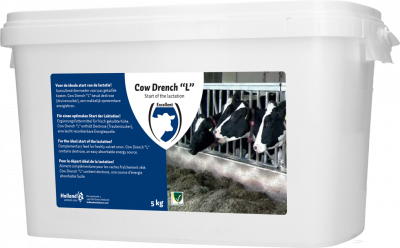 Cow Drench L