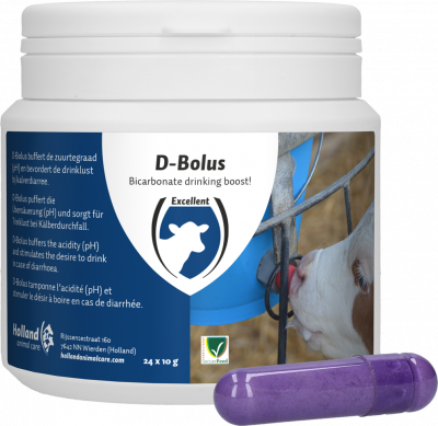 D-Bolus | Bicarbonaat pil