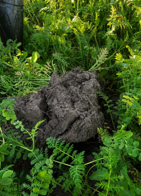 Agristar Biobodem Laat