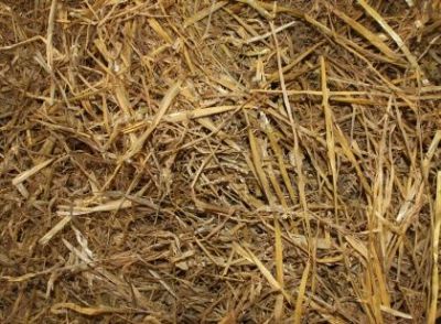 Gerstestro | Gesneden | Per vracht ca. 16-18 ton | Zelf lossen