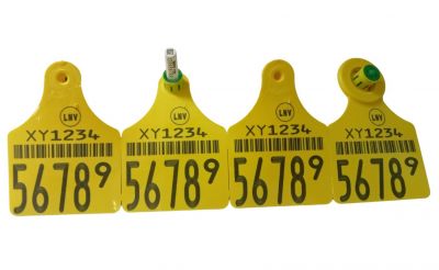 Elektronische oormerk | FlexoPlus | HDX-BVD | 2x groot