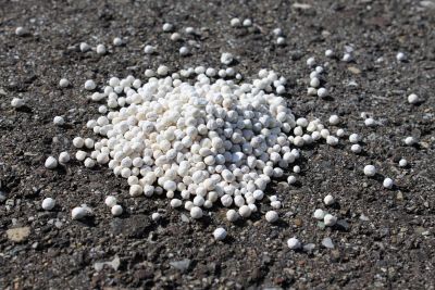 Kieseriet Gekorreld | Bulk | Orgineel | Noord