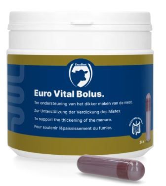 Euro-Vital Bolus | 24 stuks