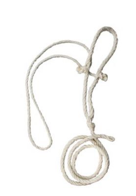 Koetouwhalster | Dun koptouw