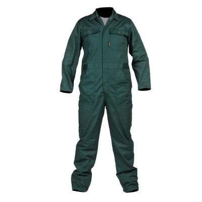 Overall import | poly/katoen | 56 | Groen