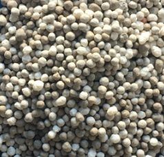 Np 24-14 | Blend | Bigbag 600 Kg | Zonder Kooiaap Gelost | Brabant