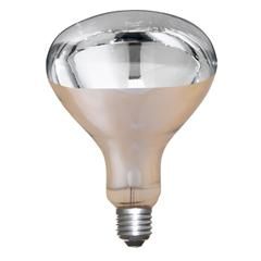 Warmtelamp | Philips | 250 Watt | Wit