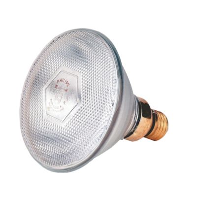 Warmtelamp | Philips | 175 Watt | Wit