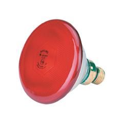 Warmtelamp | Philips | 100 Watt | Rood